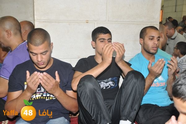 bazsalah lud 712 (19).JPG